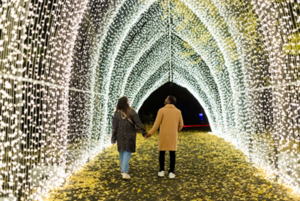 Lightscape At Brooklyn Botanic Garden  Introduces 21+ Night For The 2024 Holiday Season