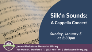 Silk'n Sounds Concert