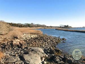 New Year’s Day Walk at The Let