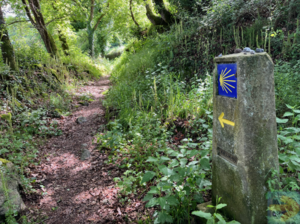 Introduction to the Camino de Santiago