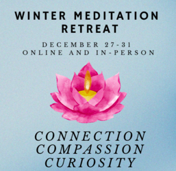 Shambhala Chicago's Winter Meditation Retreat (Virtual & In-Person)
