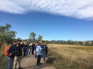 Bird Walk for All levels