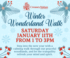 Winter Wonderland Walk