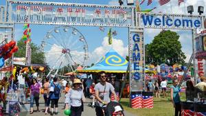 Sarasota Pineapple Drop Carnival