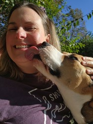 Hike With A Shelter Dog