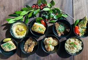 Free Spanish Wines & Small Bites Tasting