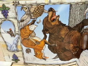 Nature Book and Look