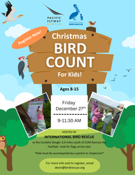 Christmas Bird Count for Kids! Hosted by International Bird Rescue