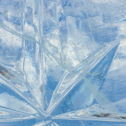 Science Solvers: Ice Age