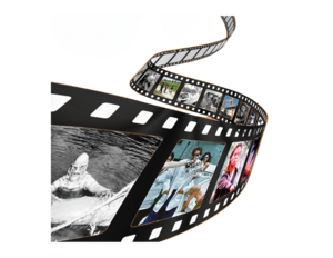 The Ten Films that Put Florida on the Map!