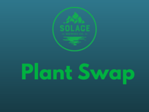Plant Swap at Solace Brewing Co.
