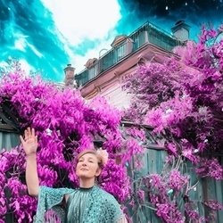 Junebugbayer: Junebug's Holiday Show at Steel Bonnet Brewing Company