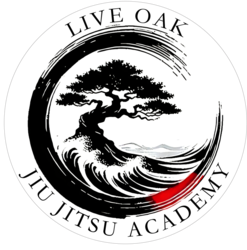 Brazilian Jiu Jitsu Demonstration