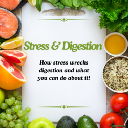 Stress and Digestion: How stress wrecks digestion and what you can do about it!