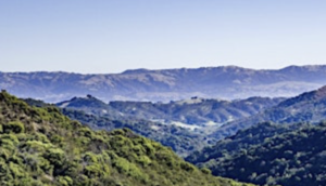 Hike at Calero County Park