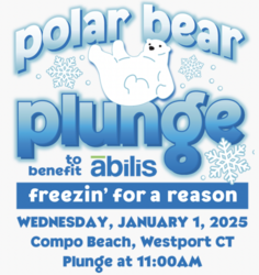 Polar Bear Plunge "Freezin' for a Reason" in support of Abilis