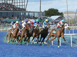 National Thoroughbred League Championship Cup