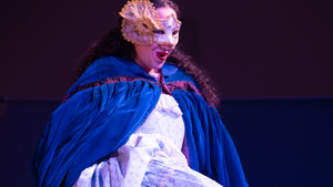Die Fledermaus
