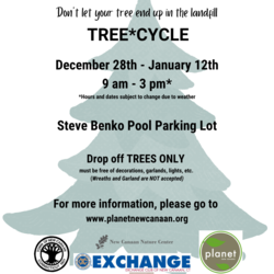 Planet New Canaan Tree*Cycle - 12/28-1/12
