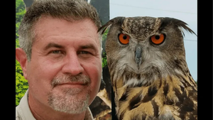 THE WILD WORLD OF ANIMALS