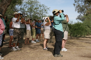 Birding Agua Caliente Park