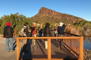 Birding El Rio Preserve