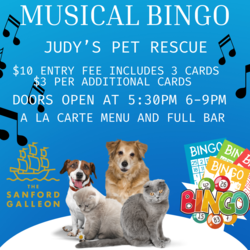 Join Us for a Musical Bingo Fundraiser in the Sanford Galleon on Lake Monroe!