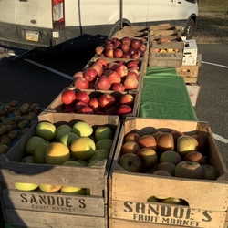 West End Farmer's Market at Cameron Station