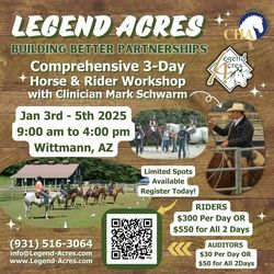 Horsemanship Clinic with Mark Schwarm