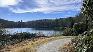 Trout Lake Hike