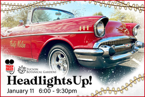 HeadlightsUp! Final Saturday of LightsUp! A Festival of Illumination