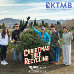 Christmas Tree Recycling Procrastinator's Weekend
