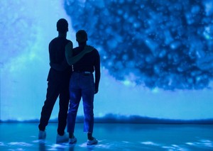 SUBMERGE Project at ARTECHOUSE NYC