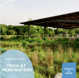 Yoga at the Headwaters