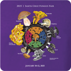 Fungus Fair