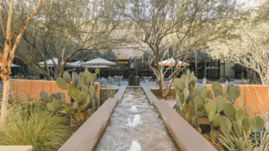 Experience Ireland: Dinner at Café Allegro