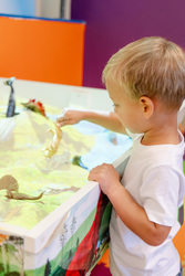 Jasen's Autism Sensory Environment to Host Valentine's Day Celebration For Autism Families