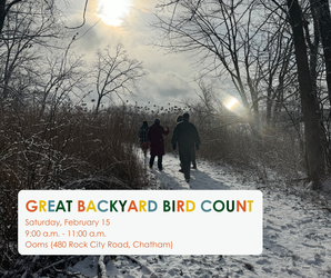 Great Backyard Bird Count