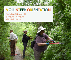 Volunteer orientation