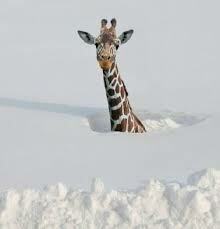 Story Space online Tue 01/21/2025