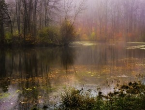 Country & Nature Photos by NJ Photographers
