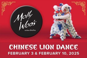 Chinese Lion Dance Celebration
