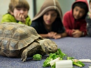 CuriOdyssey Weekend Workshop: Marine Marvels