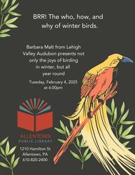 BRRR!! The Who, How, and Why of Winter Birds