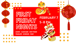 First Friday Nights at CuriOdyssey