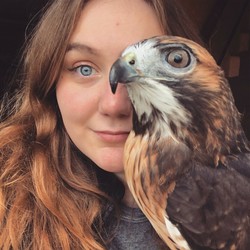 Fred Elser First Sunday Science: All Things Raptor