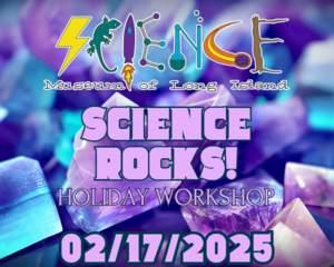 SMLI Science Rocks! Holiday Workshop