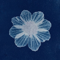 IDK Cyanotype Pendants