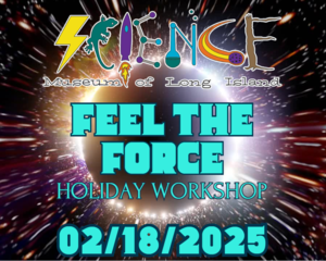 SMLI Feel the Force Holiday Workshop