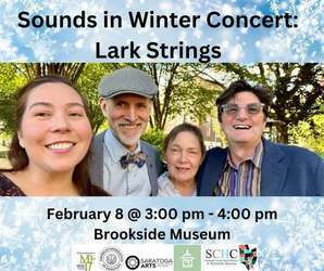 Sounds in Winter-Lark Strings